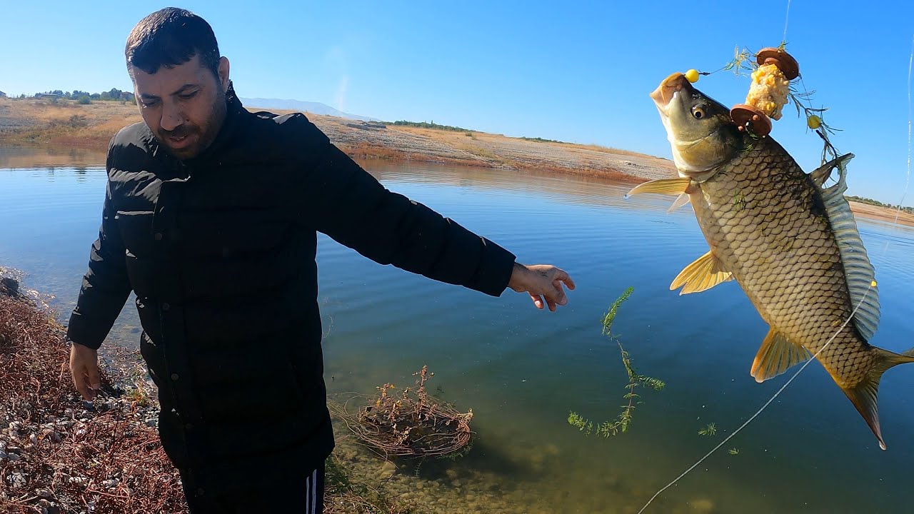 صيد السمك في تركيا سمك الكرب الذهبي | CARP FISHING IN TURKEY | MALATYA SAZAN AVI