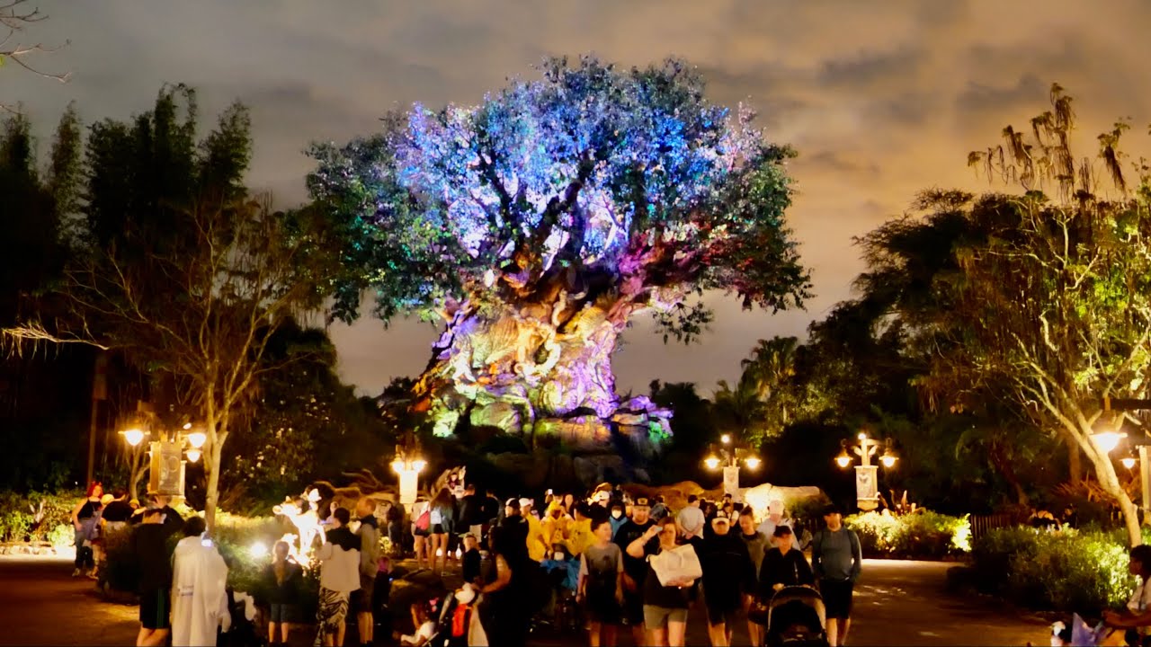 Disney's Animal Kingdom 2022 Evening Sights & Sounds in 4K | Walt Disney World Florida March 2022