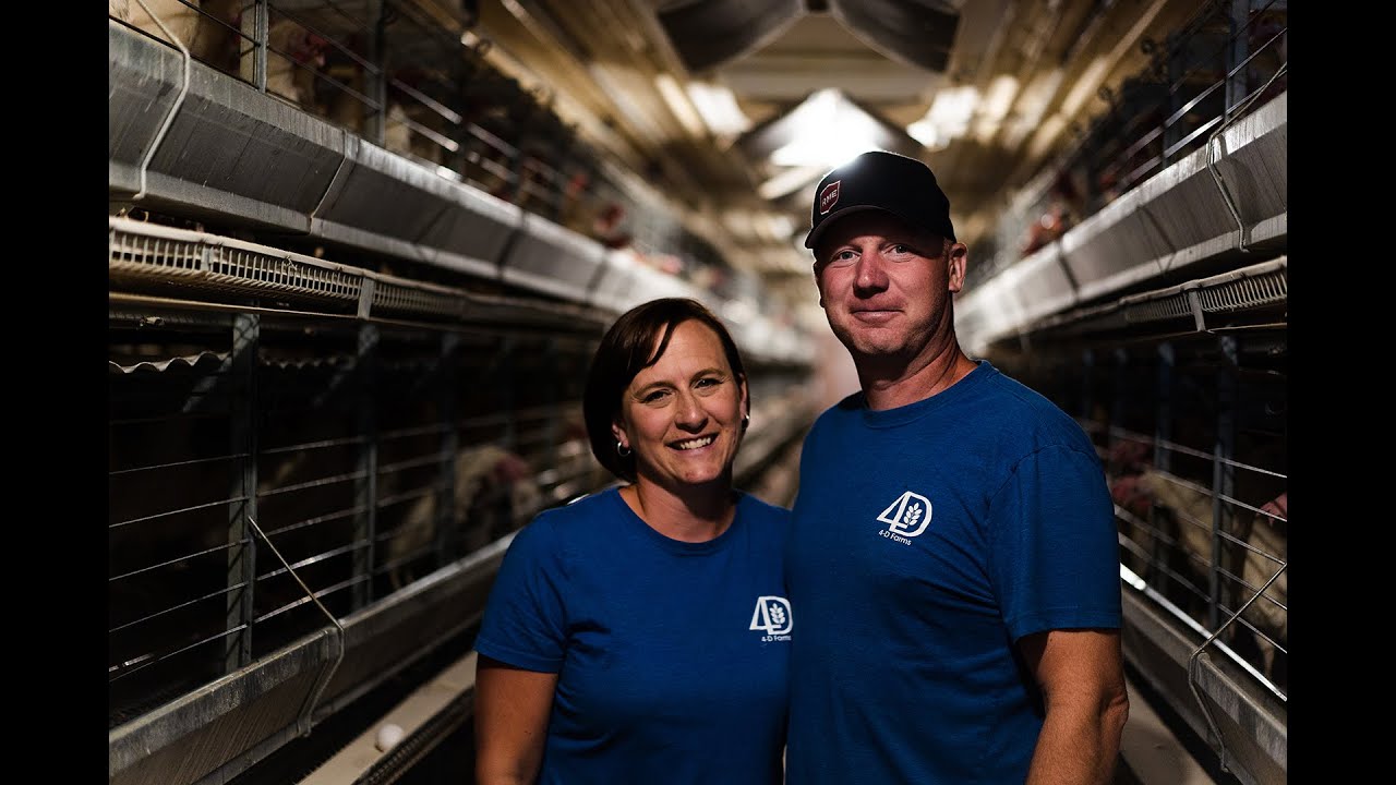 4D Farms Enriched Housing Laying Hen Barn Tour