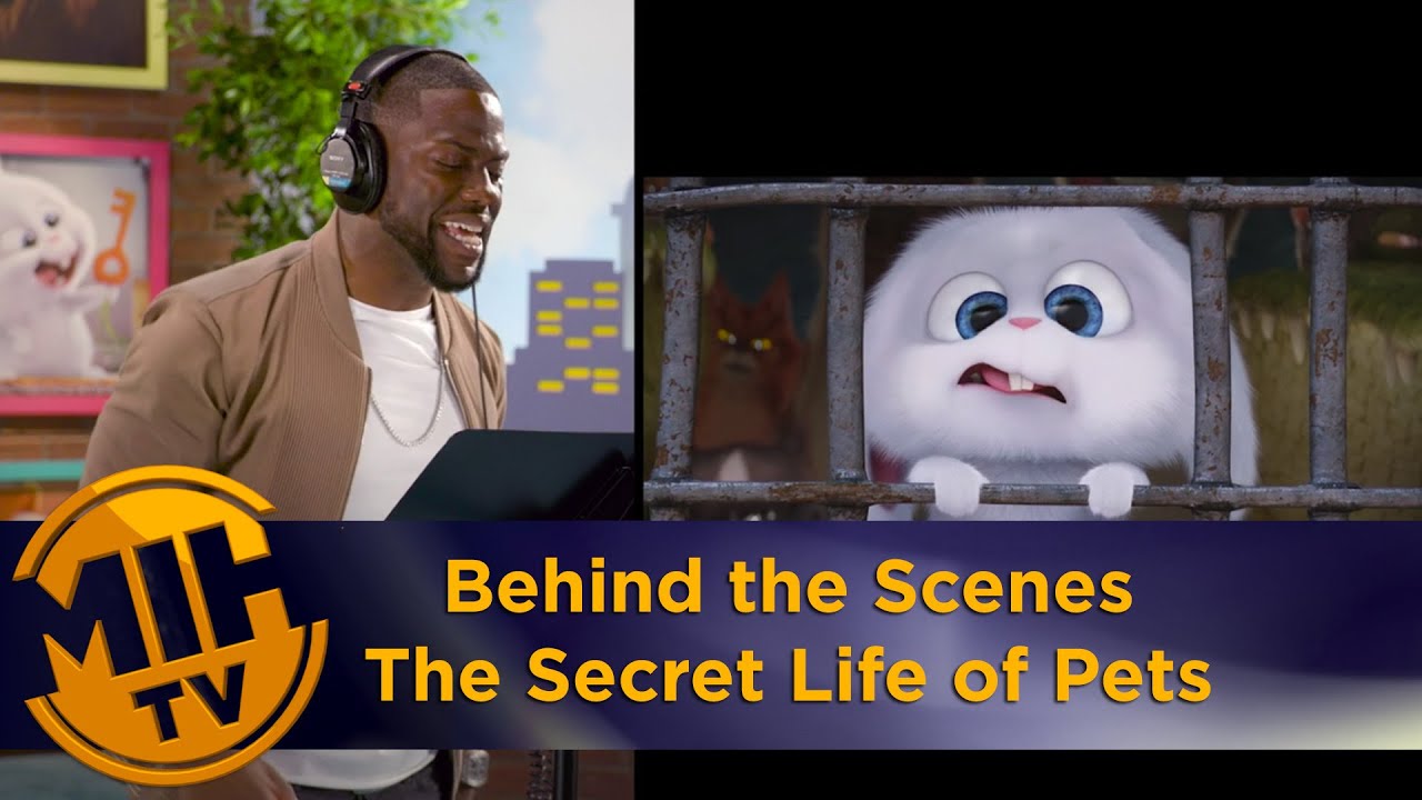 The Secret Life of Pets - Behind the scenes