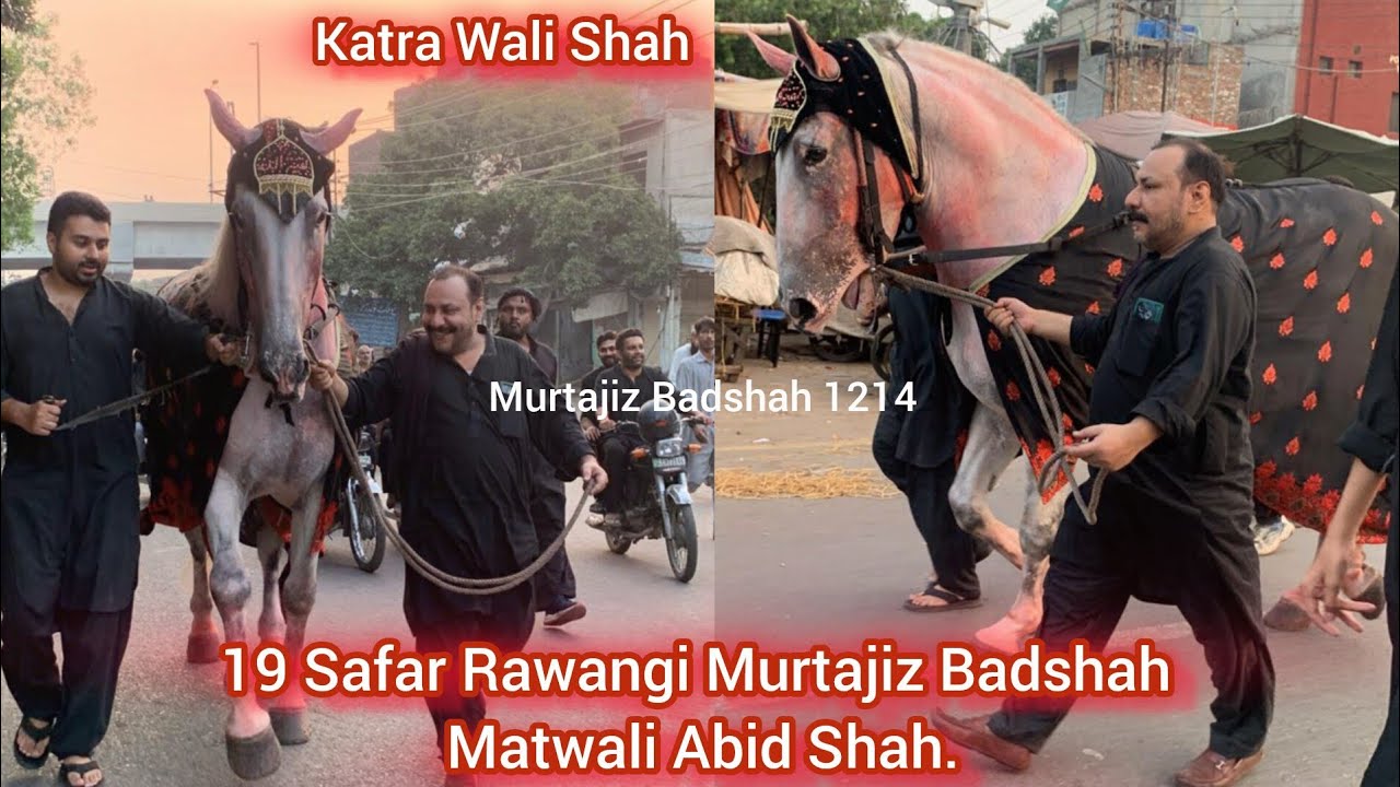 19 Safar Rawangi Murtajiz Badshah Karta Wali Shah Matwali Abid Shah Shadbagh LHR