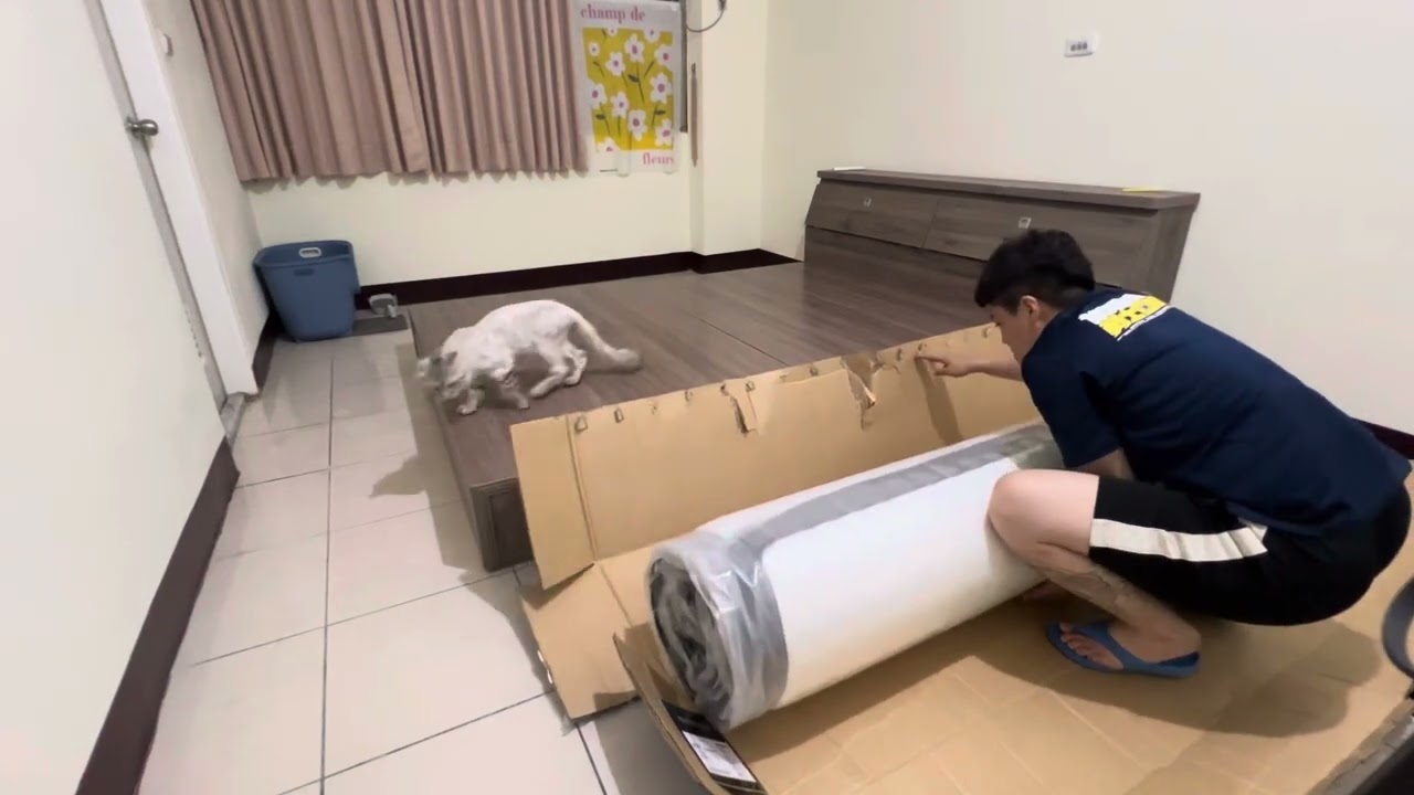 ￼Nooz Helix乳膠獨立筒床墊 ｜雙人加大床墊