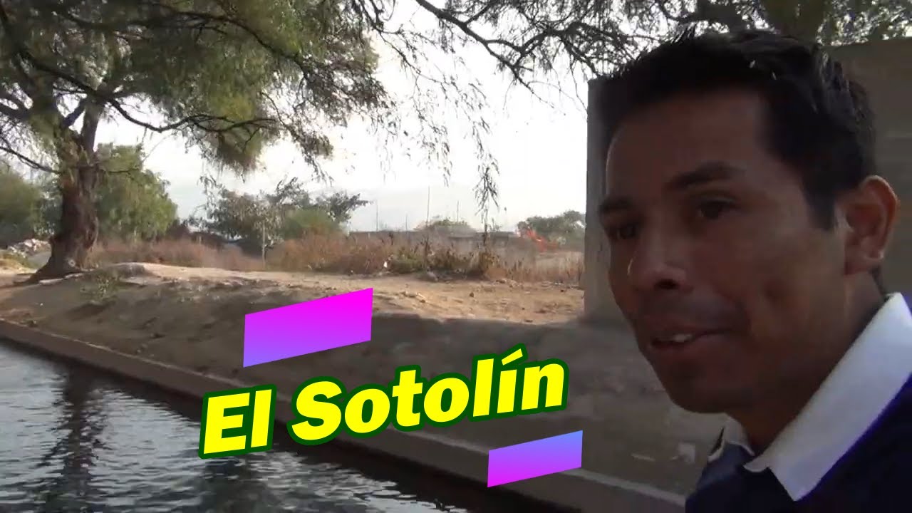 El Sotol&iacute;n Tehuac&aacute;n, Puebla