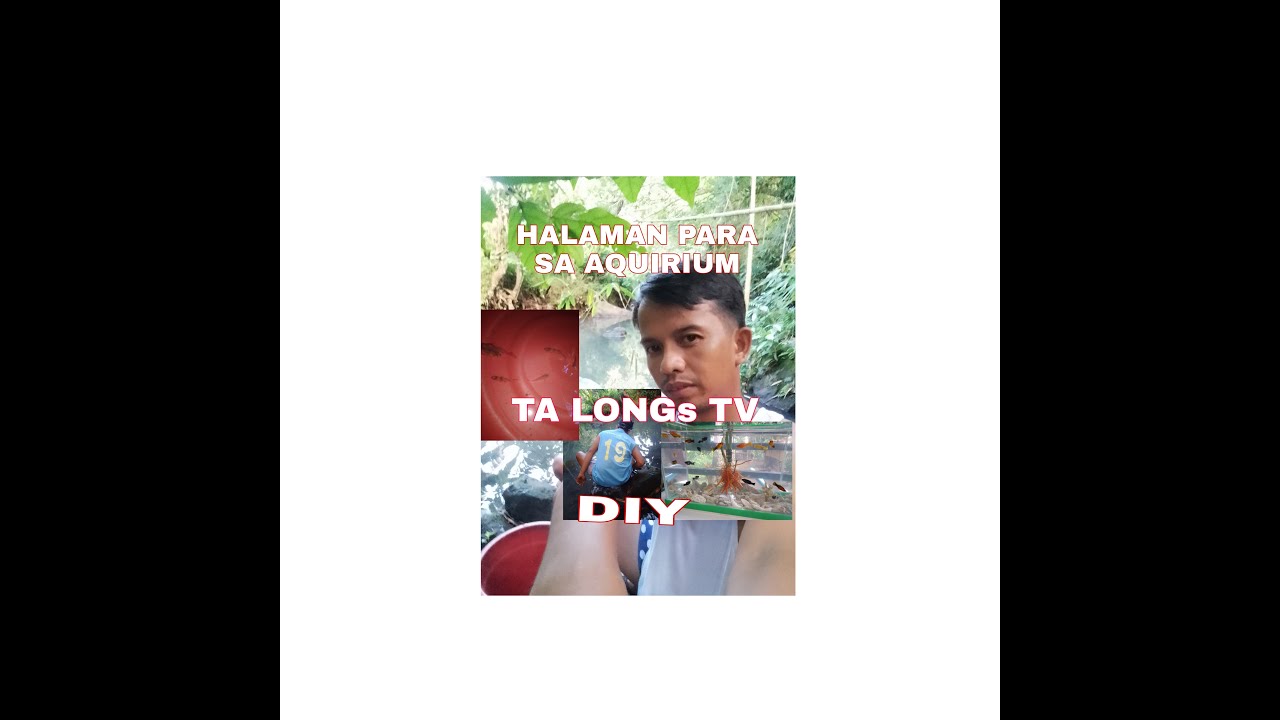 halaman para sa aquarium mo?watch DYI @talongstv