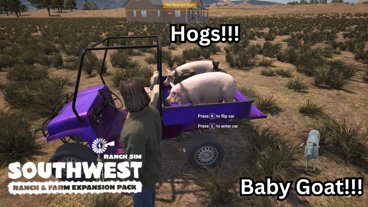 Ranch Simulator: Southwest Edition Ep.5 | Custom UTV, Cougar Ambush & Baby Goat! 🐐🚙