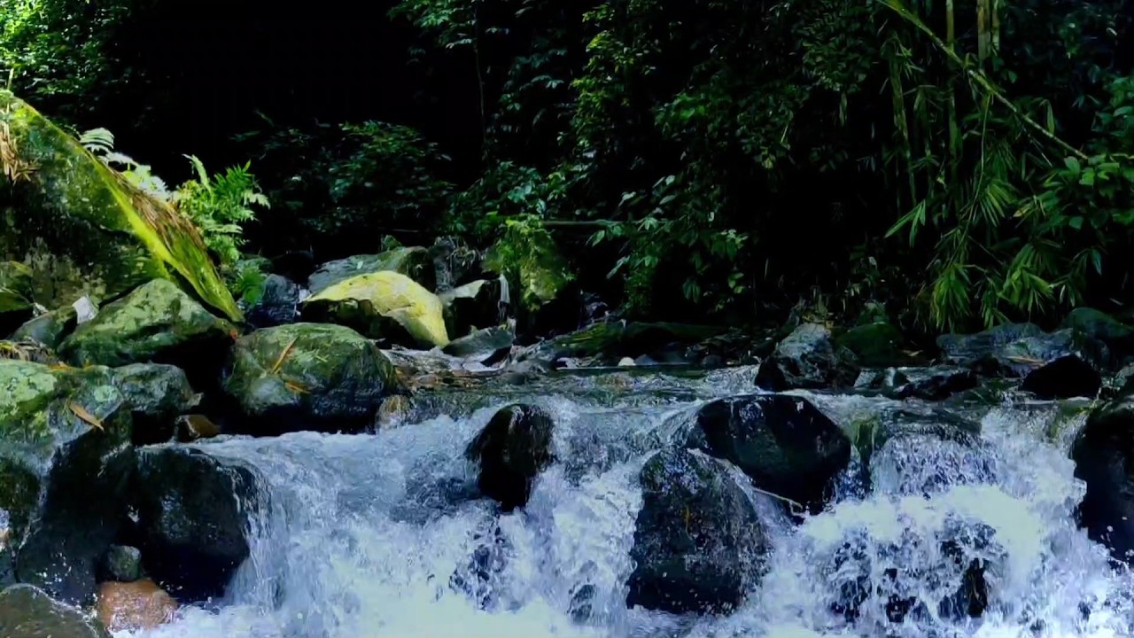River Sounds for Insomnia Relief  Pure Nature, No Background Music