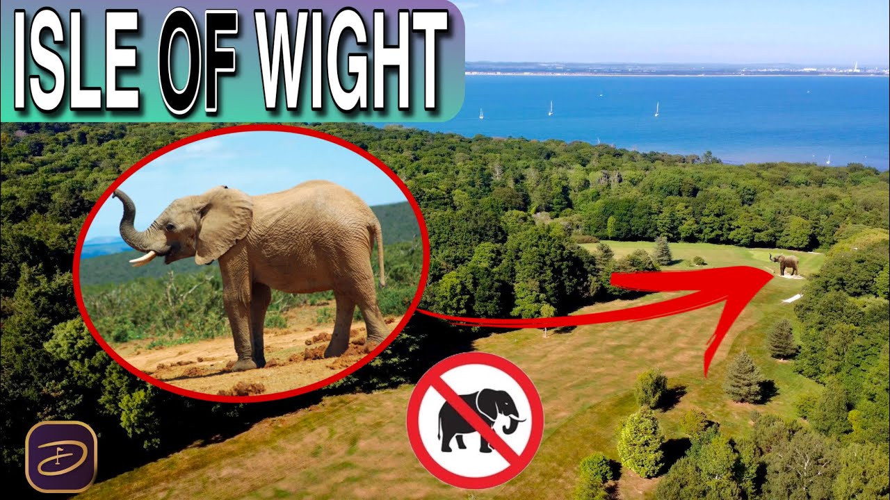 ELEPHANTS on a GOLF COURSE | The Isle of Wight