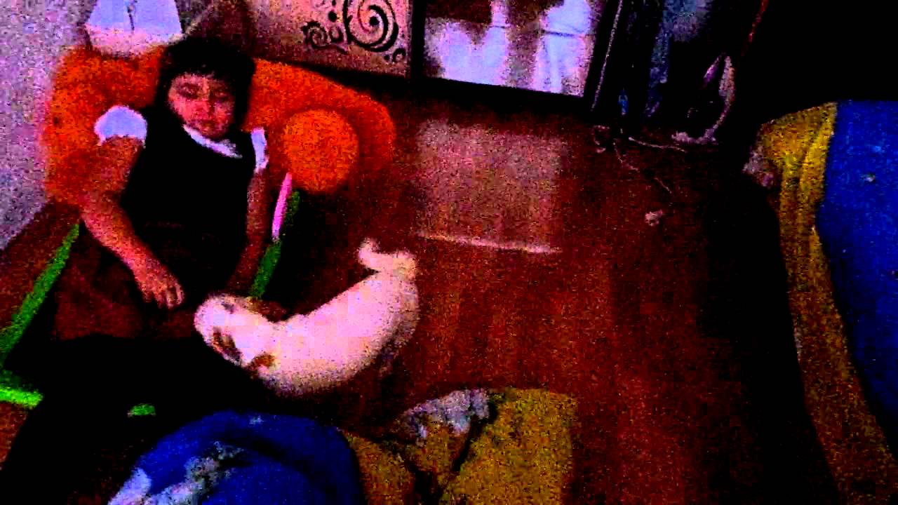 VLOG: Друзья на веки 1 день