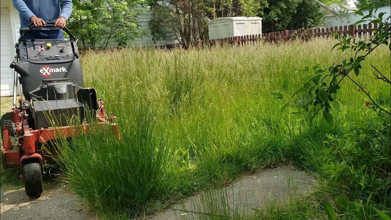 He was EMBARRASSED How OVERGROWN his yard was so i cut it for FREE