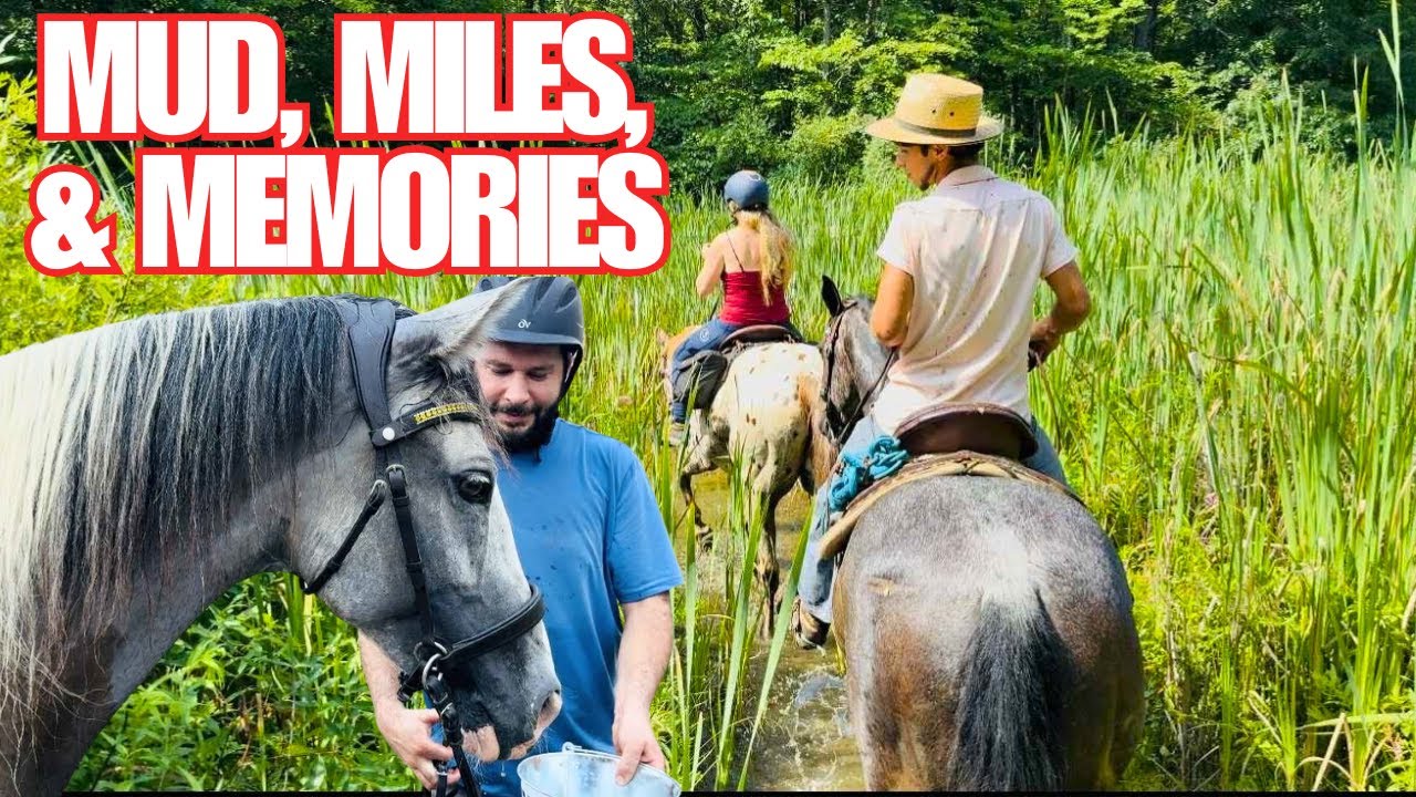 16 Miles, 3 Horses, 1 Rugged Trail Ride Across Ohio Amish Country! 