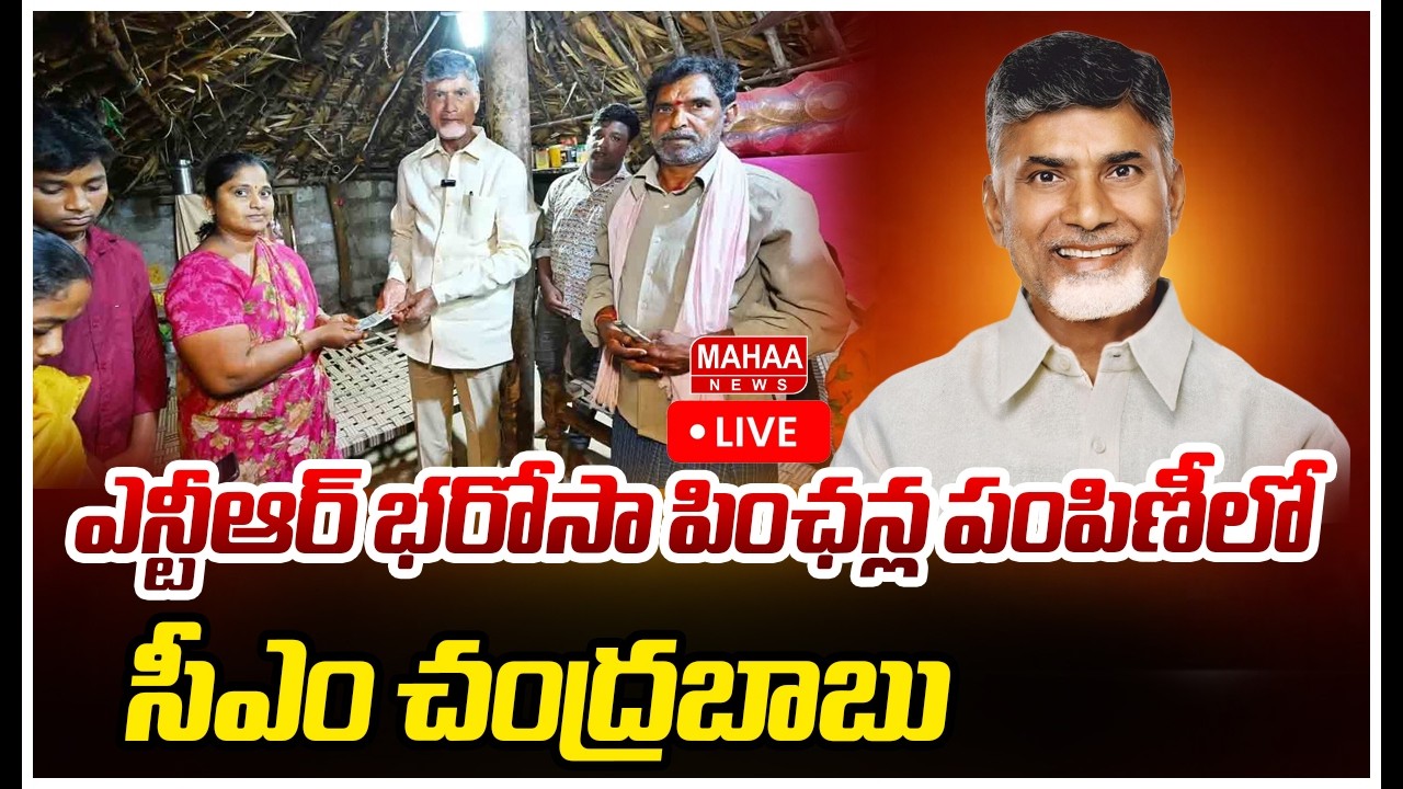 LIVE🔴:ఎన్టీఆర్‌ భరోసా పింఛన్ల పంపిణీ కార్యక్రమంలో సీఎం చంద్రబాబు |CM Chandrababu NTR Bharosa Pension