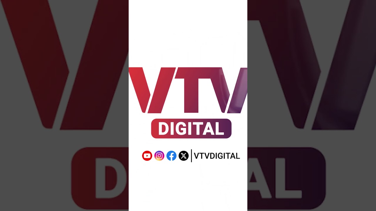 અમરેલીના રાજુલામાં પ્રેમલગ્નના વિવાદમાં યુવતીનો વધુ એક વીડિયો | VTV Digital