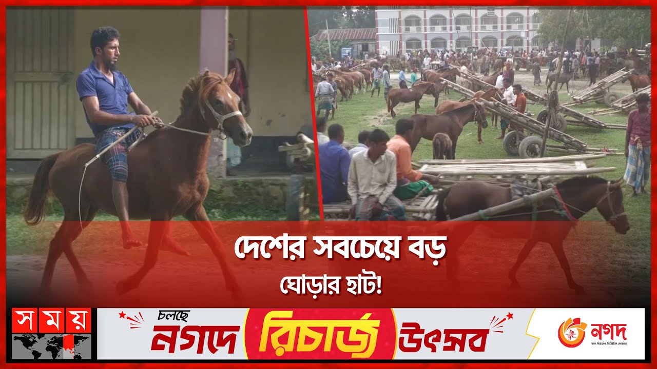 ১০ হাজার টাকায় ঘোড়া মিলবে যে হাটে | Horse market in Jamalpur | Somoy TV