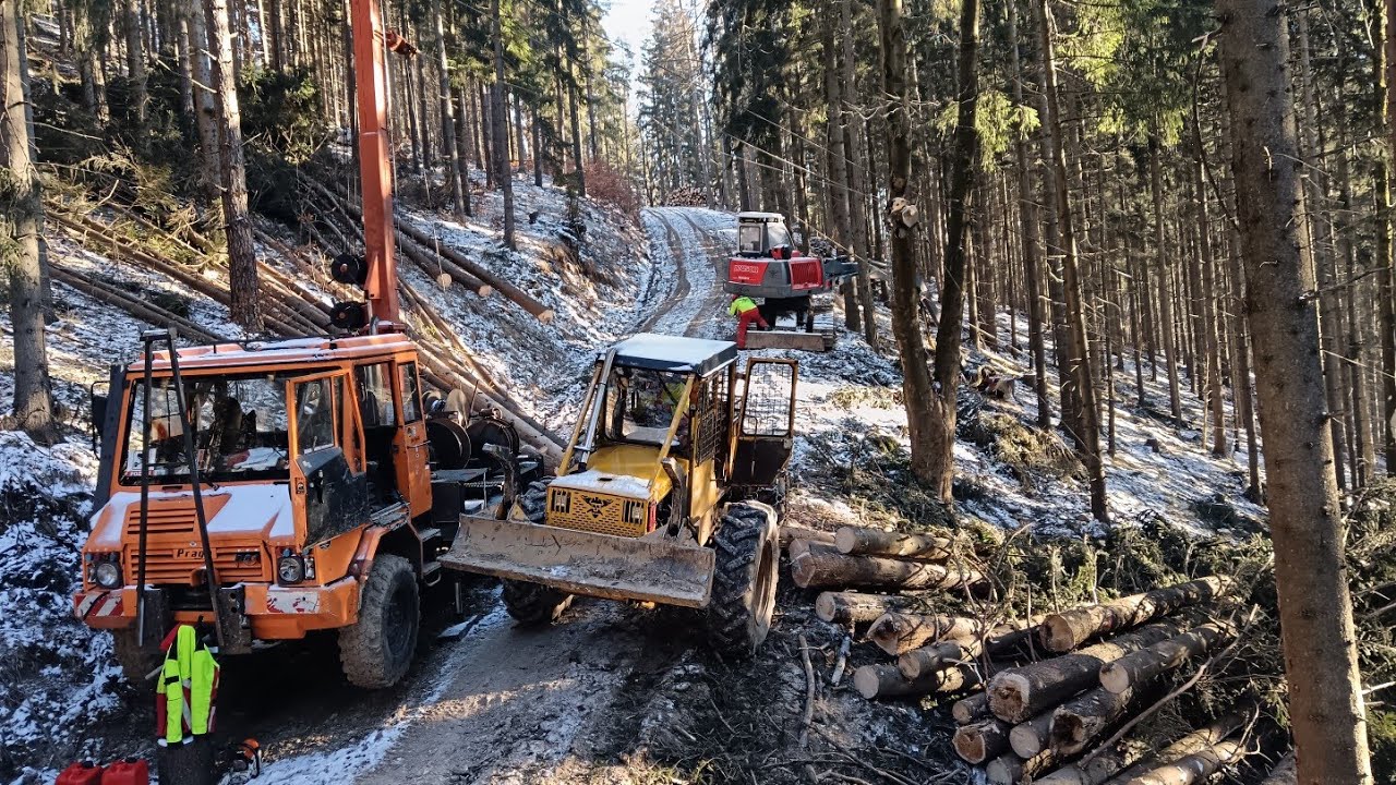 LKT 81 Turbo a lesná lanovka-Prvé štarty v - 12. Konečne poriadne zima nemáme blato.Ťažba v mrazoch
