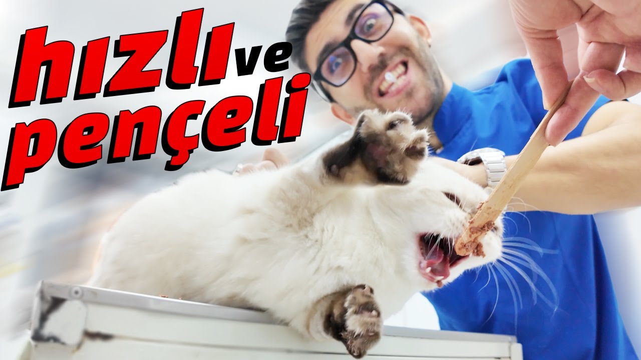AKSİYON DOLU VLOG! 😝