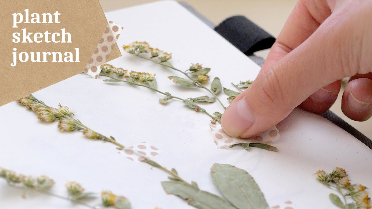 Relaxing Outdoor Sketch with Me 🌿 Pressed Flower Journal & Botanical Drawings ASMR ☘️