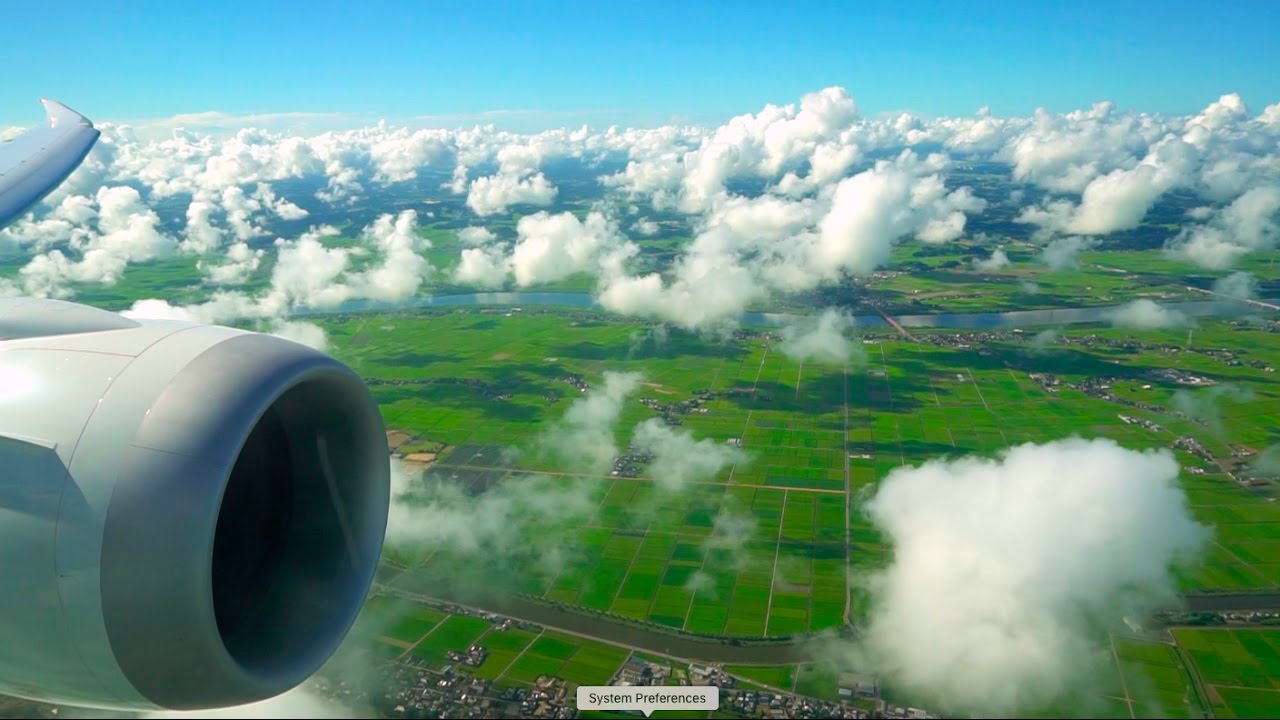 Stunning JAL Boeing 787 Dreamliner landing in Tokyo (Narita)!