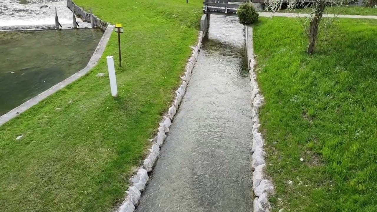 STEEGWIRT FLUDER