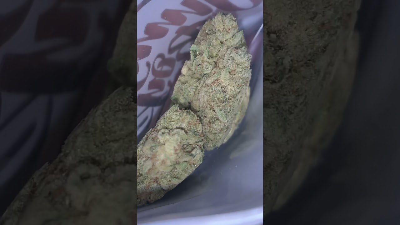 TK 43 STRAIN BY JUNGLE BOYZ #whatsinyourbag #tk43 #designerweed #exoticstrains #playingwithfire