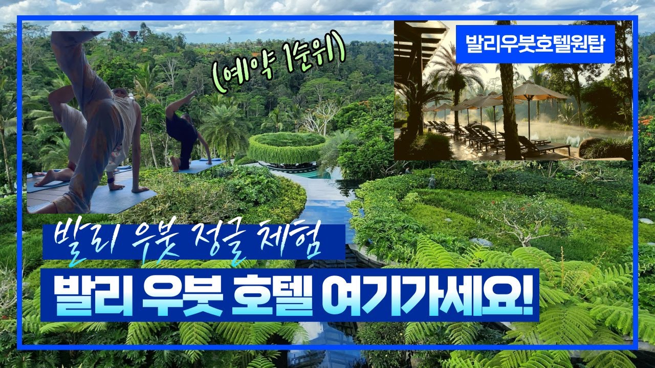 [발리2편] 발리 우붓 정글 체험🌴 제대로 할 수 있는 예약 1순위 호텔, 이 곳을 추천합니다! ㅣ발리밸리 준비 이렇게 했어요