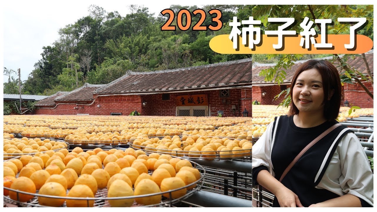 柿子紅了|新竹新埔|金漢柿餅教育園區|客家三合院裡曬柿餅