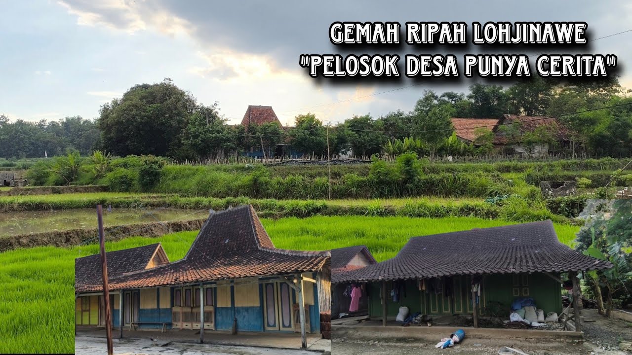 Nostalgia Kampung Jadul Yang Indah Banyak Rumah Joglo Raksasa Kuno Yang Mewah (Mepet Sawah) Part 01