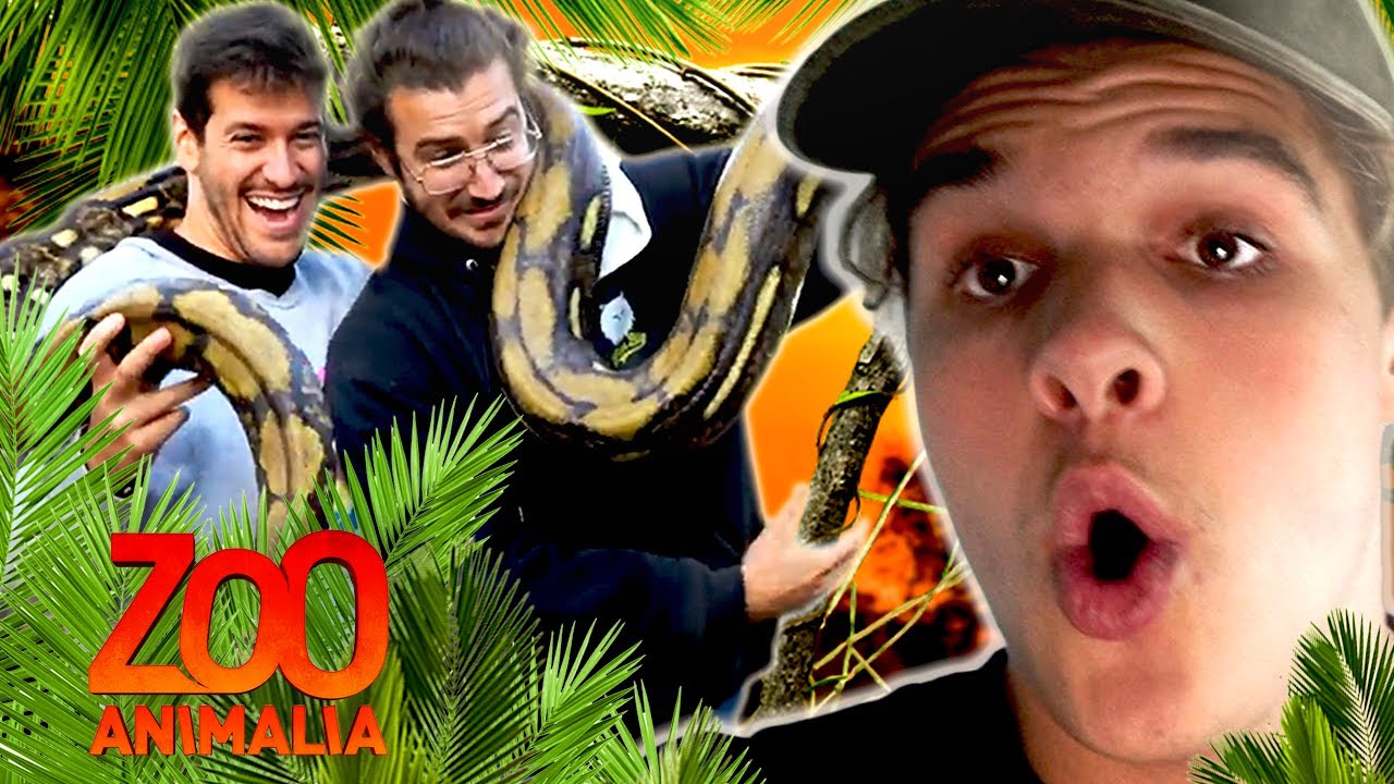 La Content House passe la journ&eacute;e au Refuge Animalier! ( C'&eacute;tait fou ! )