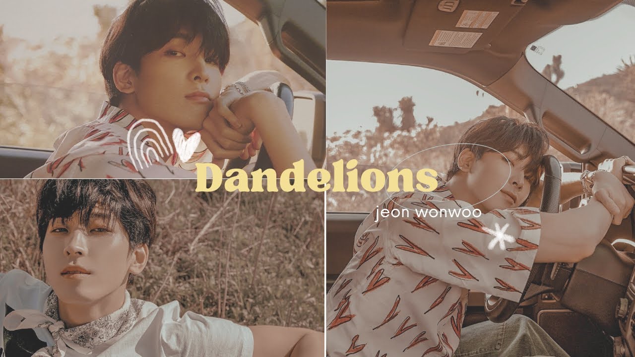 Dandelions - Ruth B. [wonwoo fmv] ♡♡