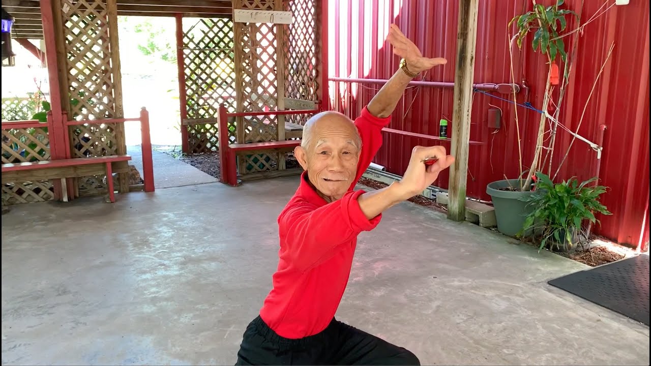 Wah Lum Fight #Covid19 Frustrations Challenge #weareinthistogether