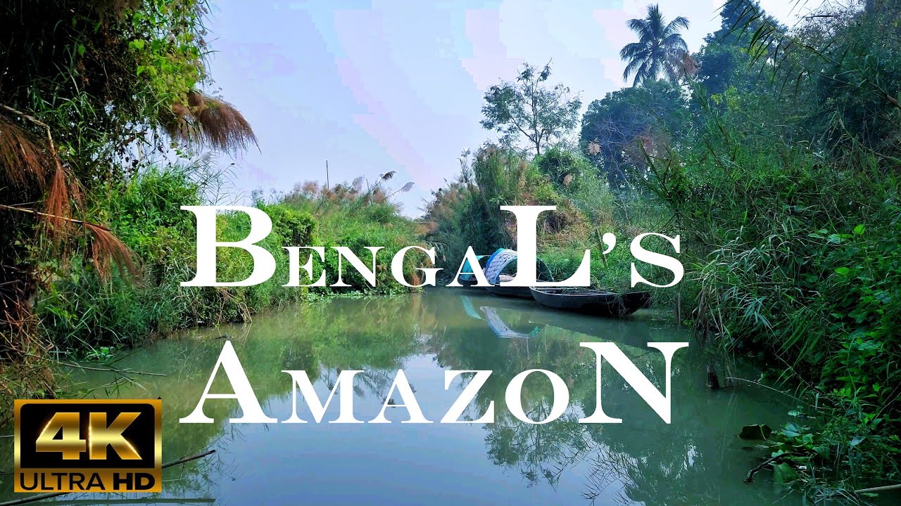 AMAZON IN BENGAL In 4K  || Chupi Bird Sanctuary || PURBASTHALI PAKHIRALAY  || বাংলার আমাজন ||