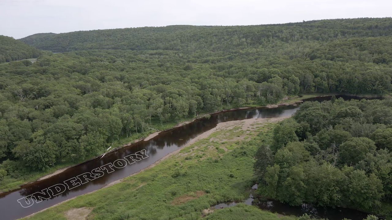 Healing a River #salmon #StMarysRiver #conservation