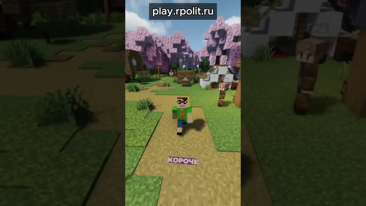 RPolit