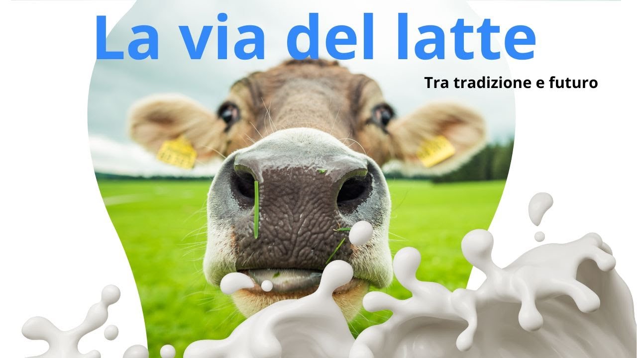 LA VIA DEL LATTE