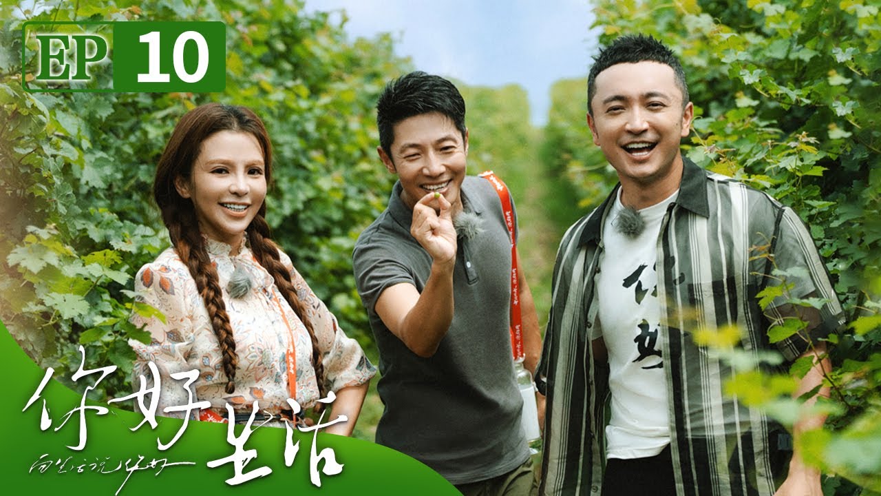小撒在线模仿岳云鹏导航语音包惟妙惟肖，鞠萍姐姐惊喜现身献唱《苏三起解》掌声雷动 | 第艺流《你好生活》第四季 20230924