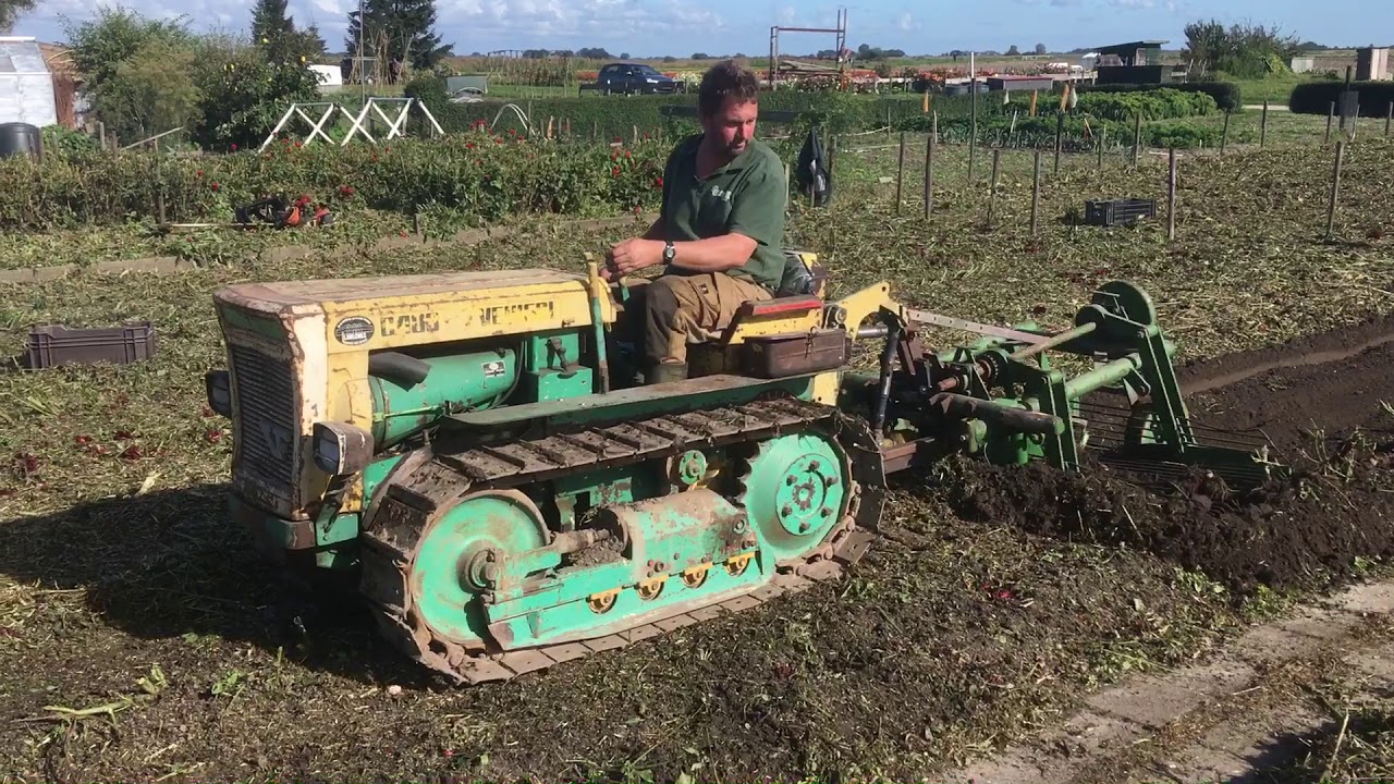 Dahlia rooien met Venieri rupstrekker