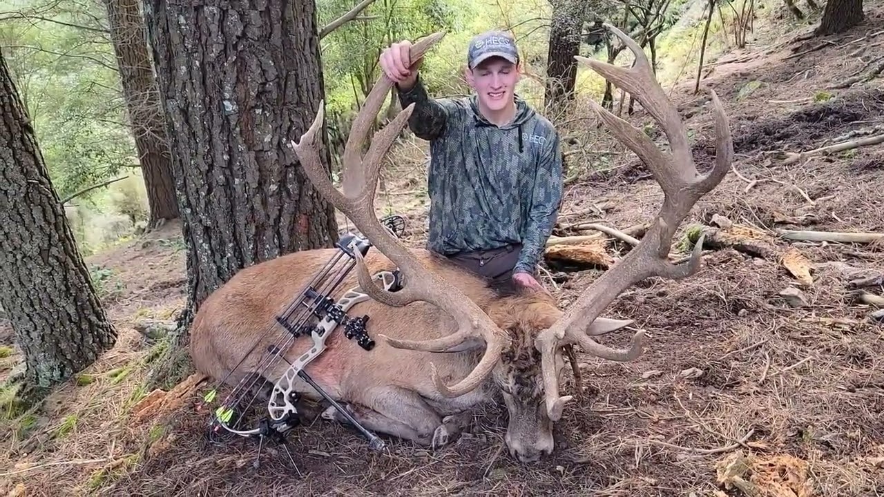 Red Stag // Bow Hunting // Camo Dust // New Zealand // Hunting // Hunting Season // Dream Hunt