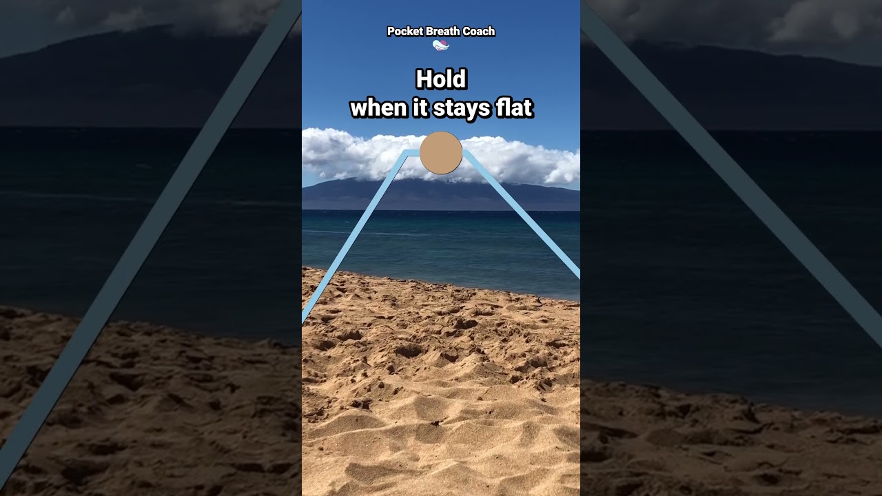 Slow Down Your Heart Rate: Guided 4-2-6-2 Breathing Exercise for Calm