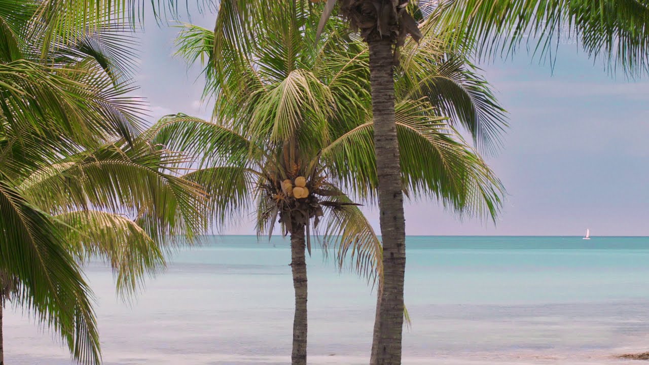 Winter is always better this way! Better with Melia Cuba!