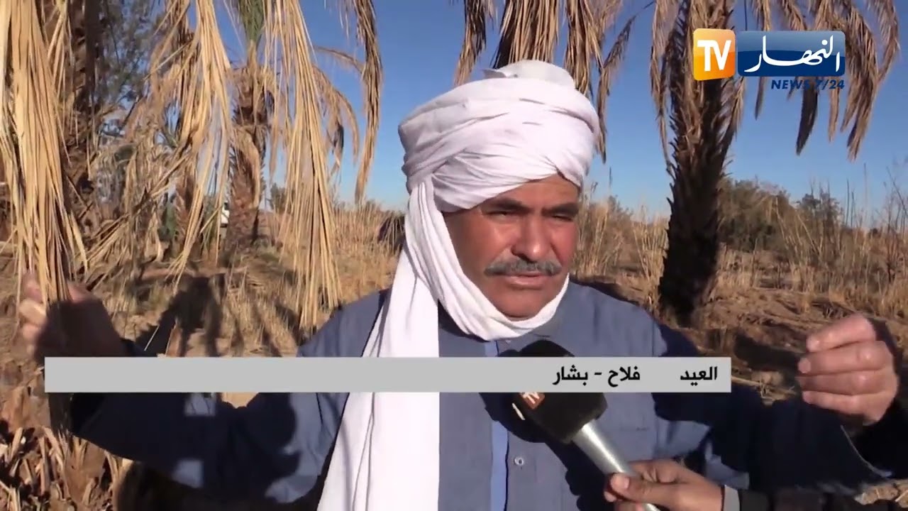 بشار: سهل العبادلة القديم ..  مشروع فلاحي بإمتياز يتظر إعادة بعثه من جديد