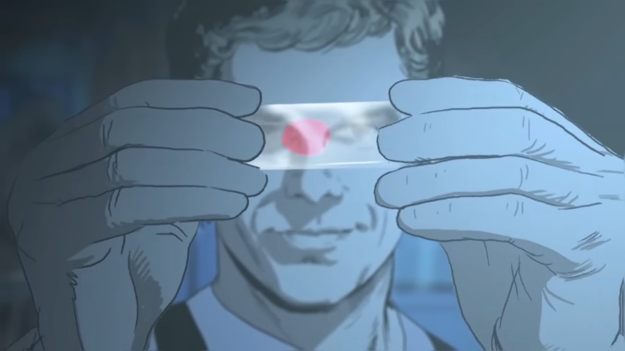 𝙋𝙍𝙄𝘿𝙀 - (𝙎𝙇𝙊𝙒𝙀𝘿) | 𝙀𝘼𝙍𝙇𝙔 𝘾𝙐𝙏𝙎 𝙭 