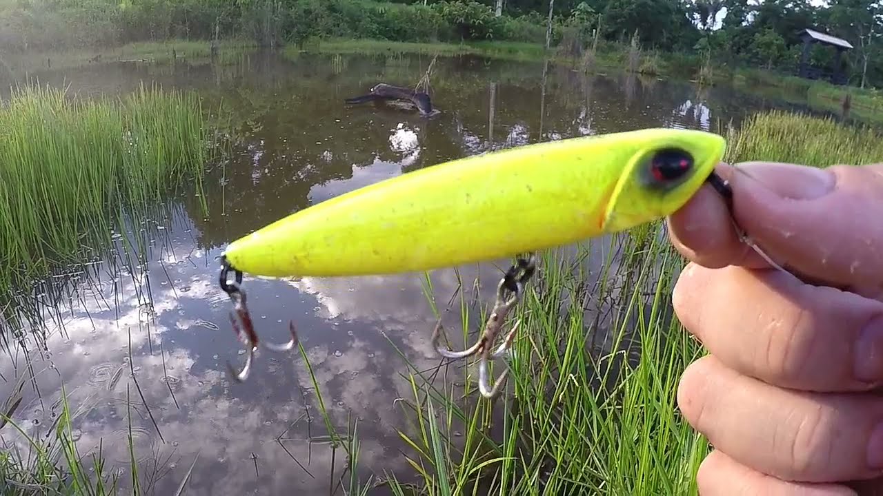 MELHOR ISCA PARA PESCARIA DE TRAIRA, Slider Pro Marine Sports.. pescaria