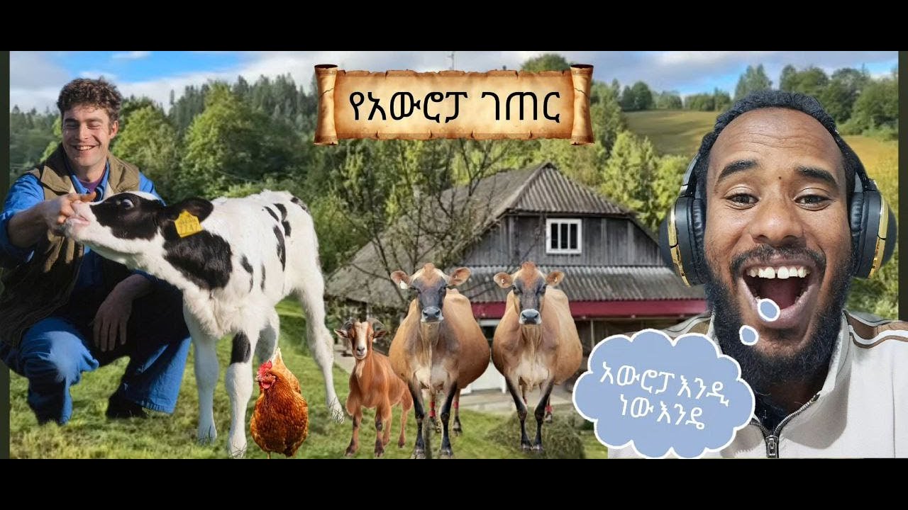 አውሮፓ እንሂድ \ አሪፍ ቆይታ \ European rural life