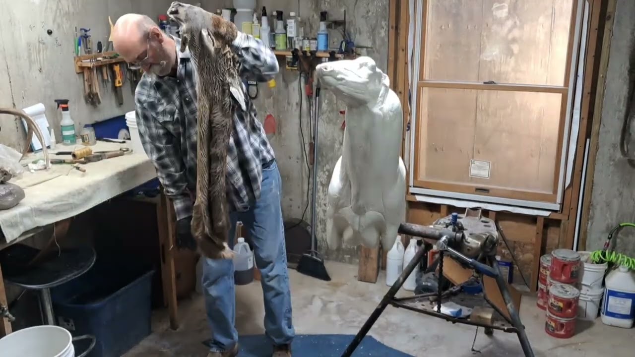 Whitetail Deer Mount