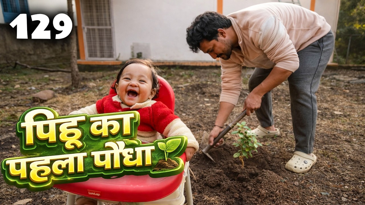 पिहू के साथ अपने आँगन में लगाए नए पौधे 🌱 Vlog129
