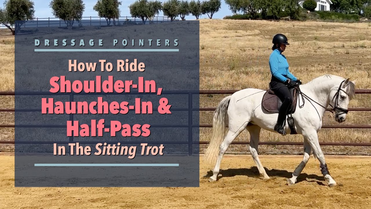 How To Ride Shoulder-In, Haunches-In & Half-Pass In The Sitting Trot