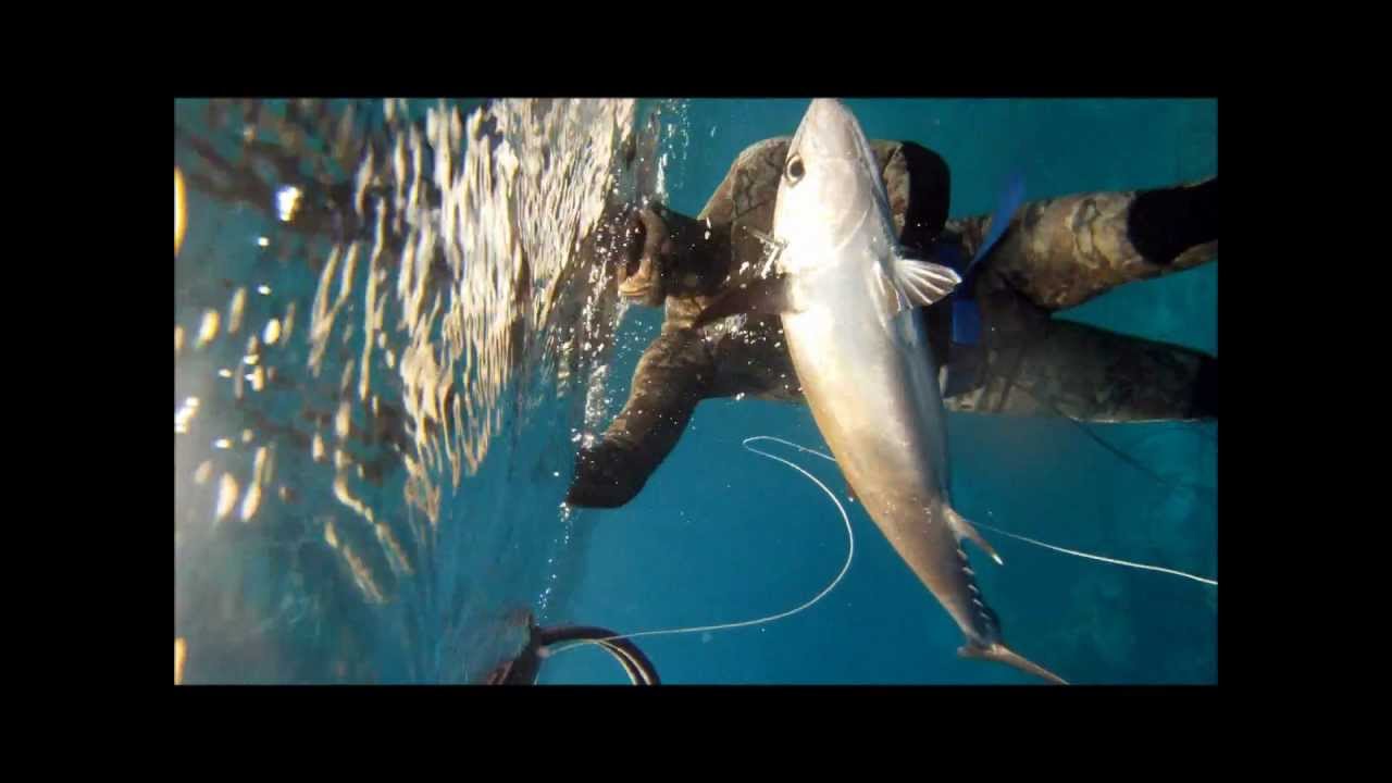 Spearfishing Jeddah - The Dogtooth Tuna.wmv