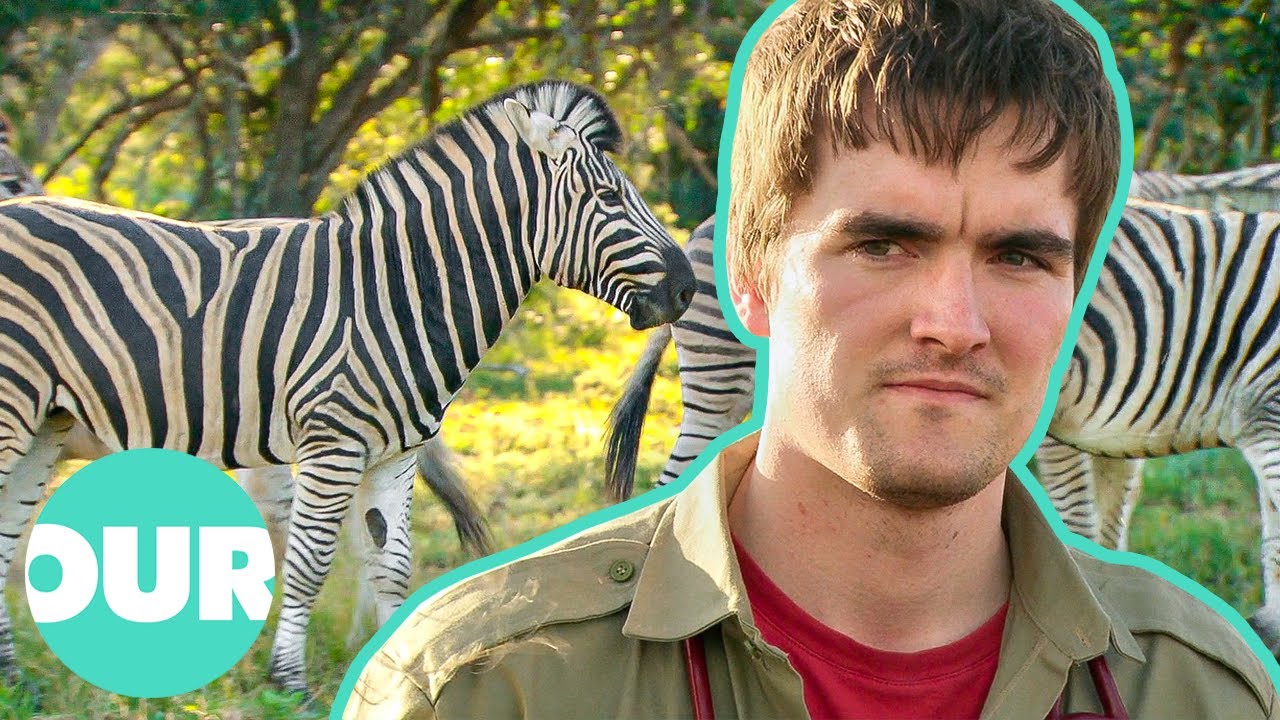 Meet The Trainee Vets Learning In Africa | Safari Vet School Ep1 | Our World