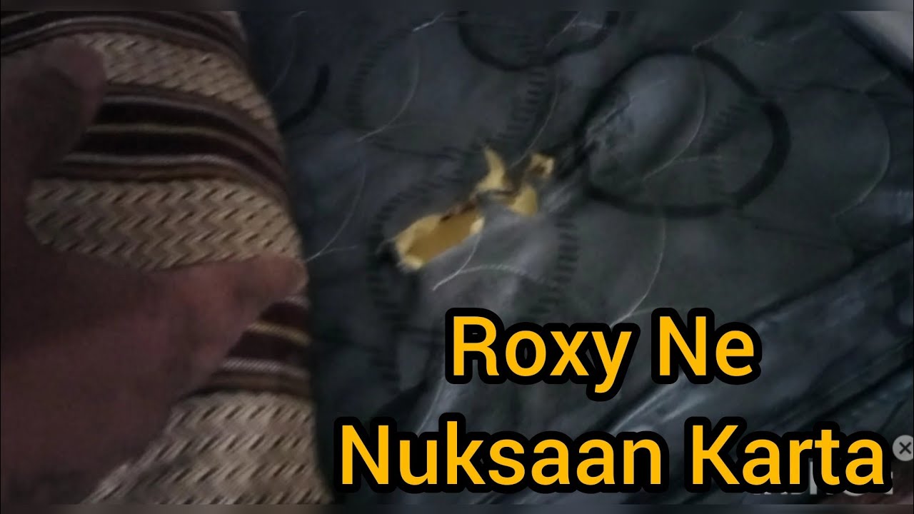 Roxy Ne Nuksaan Karta