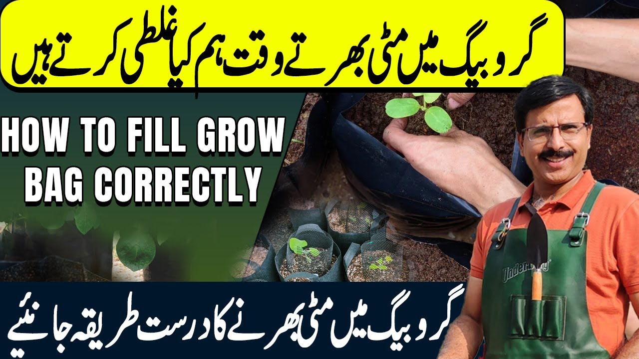How to fill GROW BAG Correctly || Gardening With Javed Iqbal