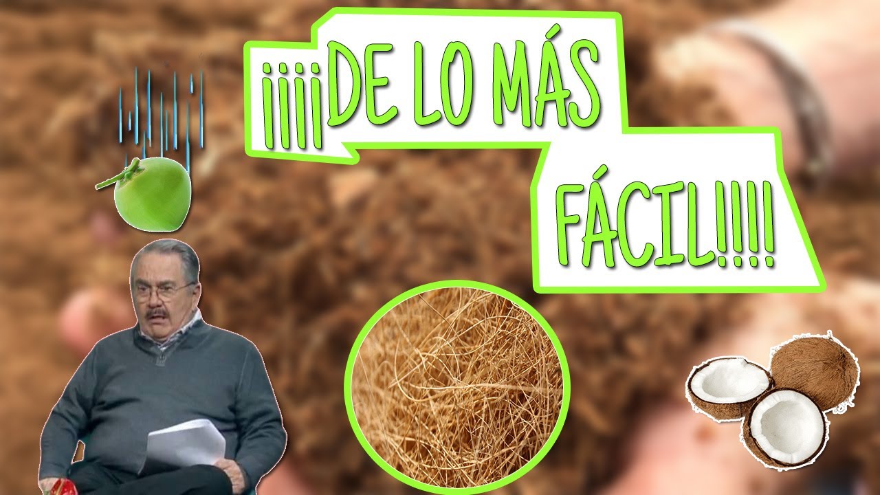 ¡ASÍ ES COMO OBTENGO FIBRA DE COCO EN CASA! | QUINDE.